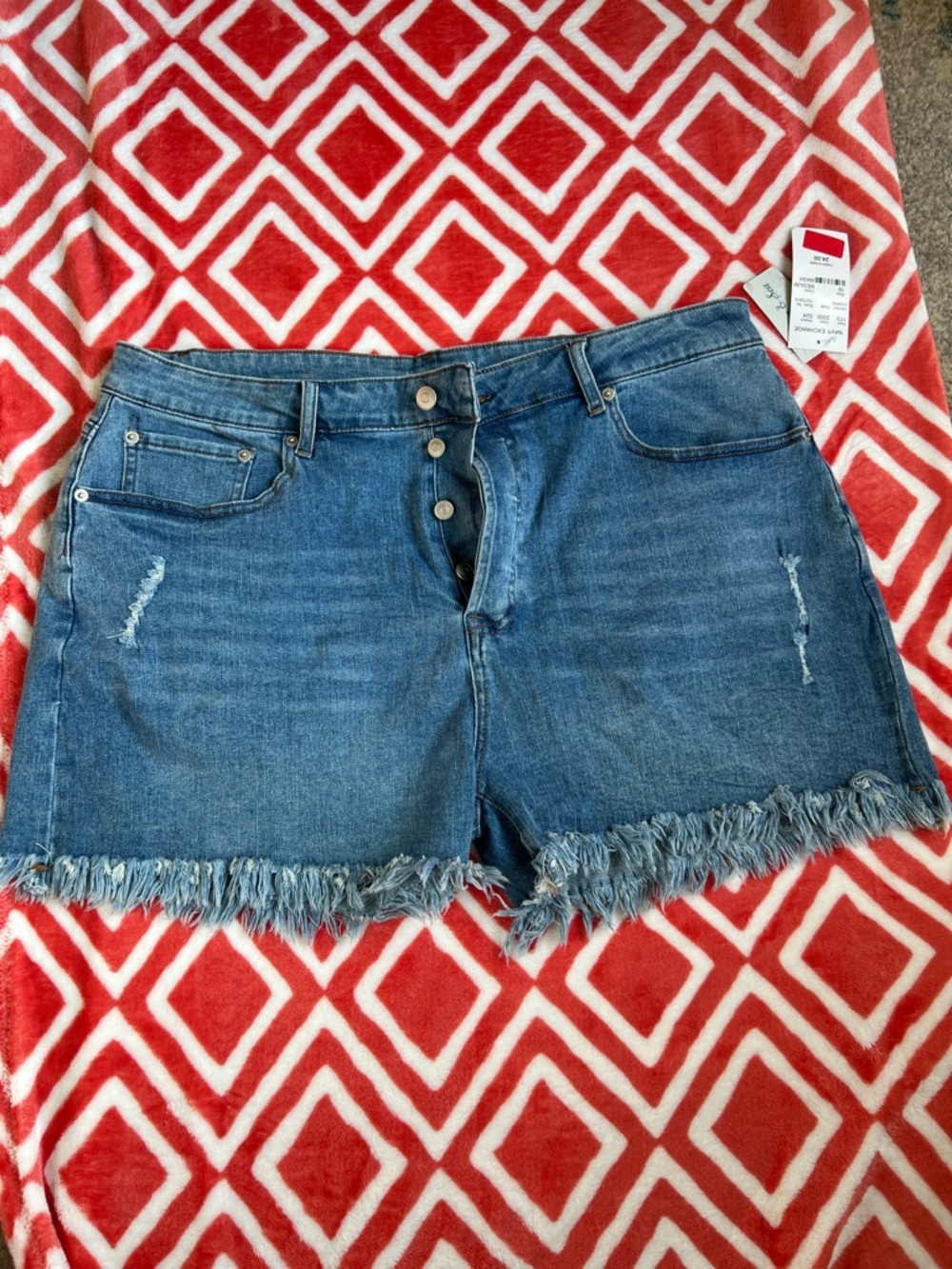 Frayed Hem Mid-Rise Denim Shorts in Blue